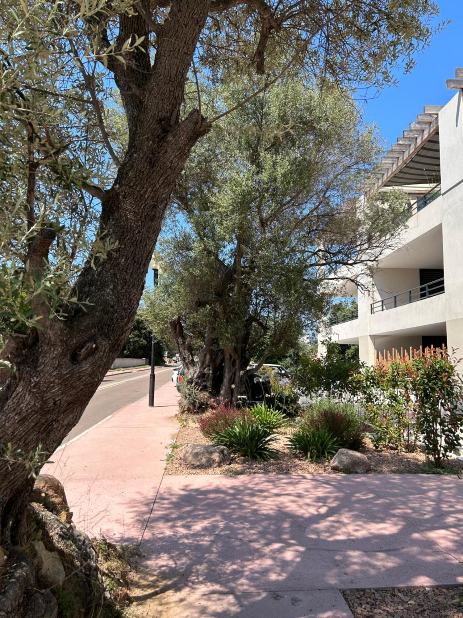 Sognu Di Serena - Superbe Appartement Avec Parking Gratuit Sur Place Porto Vecchio Exterior foto